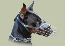 Muzzle for dogs with long snout