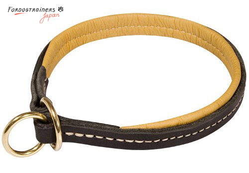 choke collar made of genuine leather