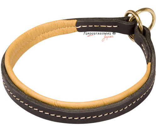 leather choke collar