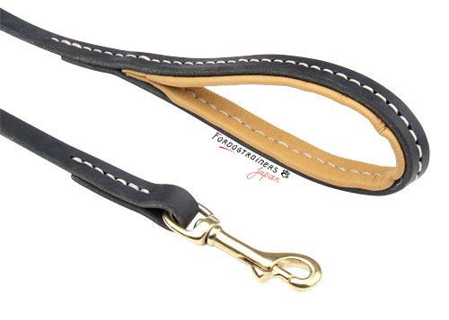 perfect leather dog leash for everyday walking