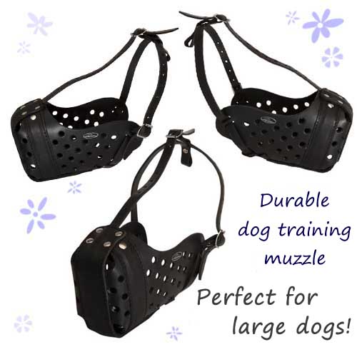 leather muzzle for dog training