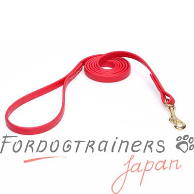 FDT 犬用品　販売