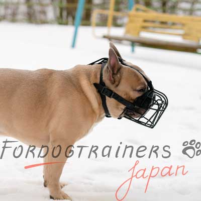 犬　口輪　水飲み