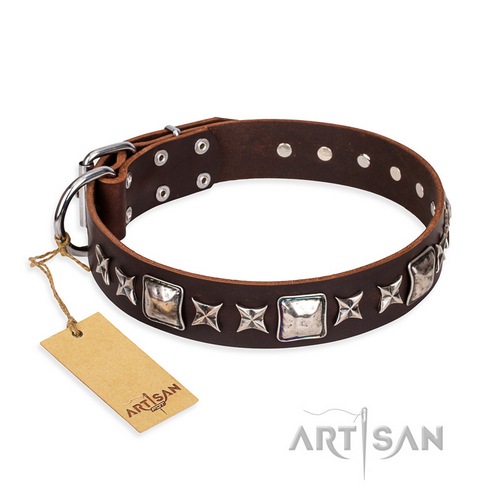 belt collars for dogs