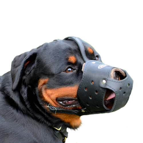 Dog muzzle hotsell for rottweiler