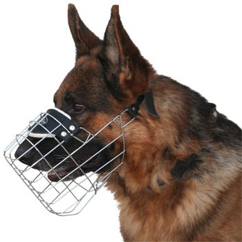 wire muzzle german shepherd