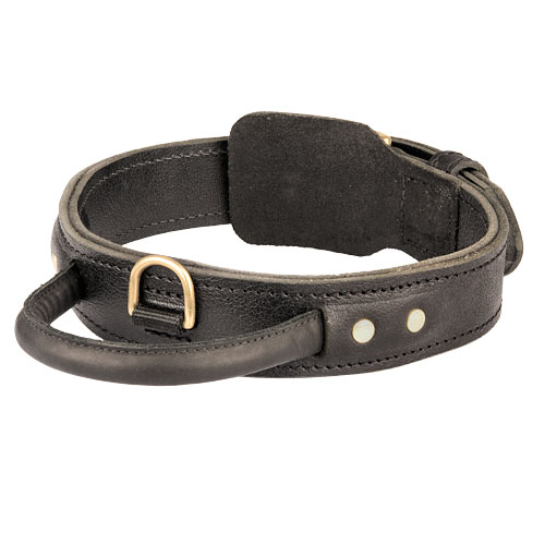 Agitation collar with handle sale