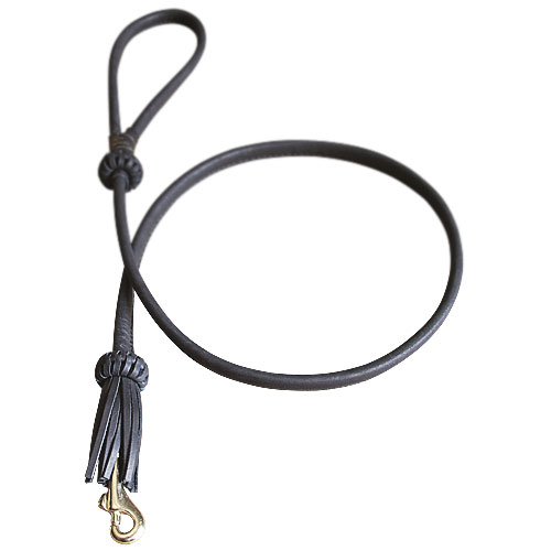 round leather leash