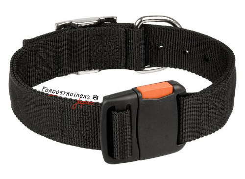 Adjustable 2-ply nylon dog collar