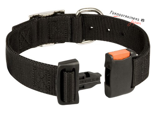 Nylon dog collar with buckle